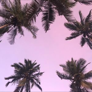 Meet your Posher, Sofia